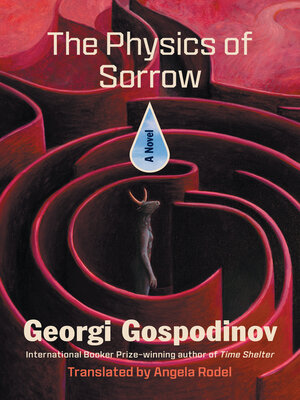 The Physics of Sorrow - ebook